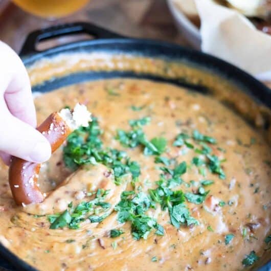 The Best Chipotle Beer Queso Dip