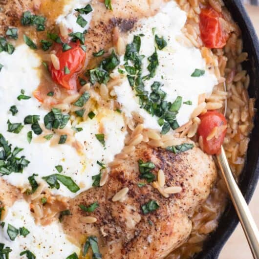 One-Pan Chicken and Orzo with Tomatoes and Burrata
