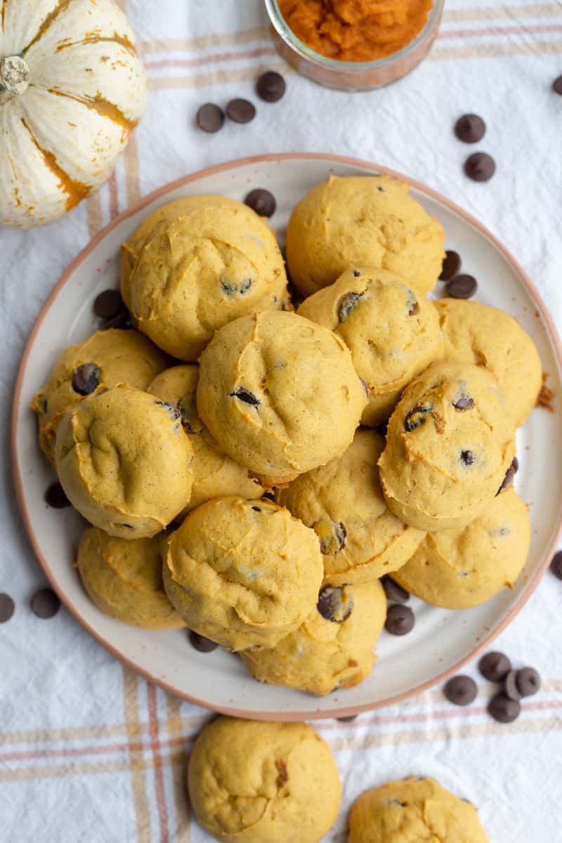 A plate full of pumpkin chocolate chip cookies with a backdrop of canned pumpkin, chocolate chips, and a small pumpkin.