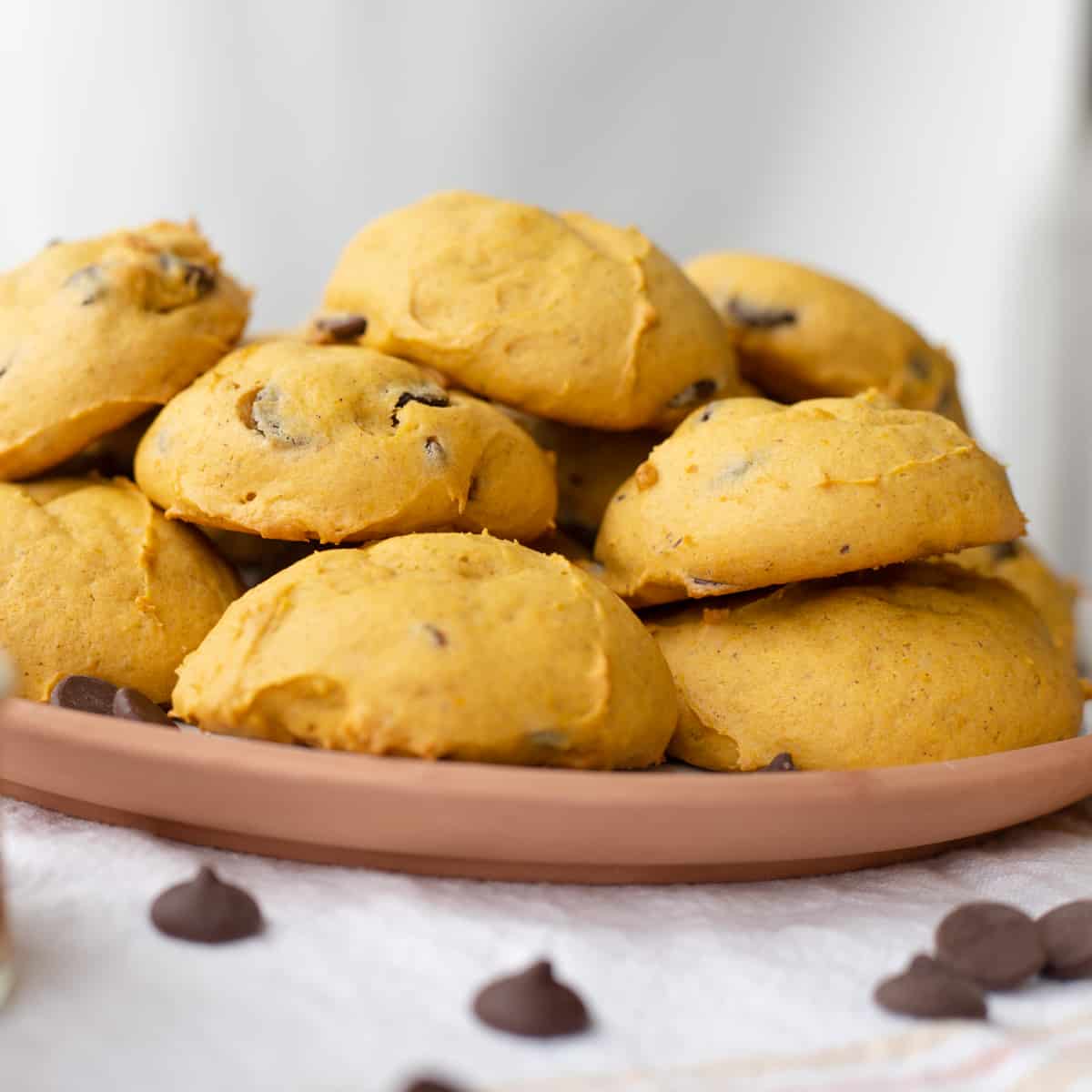 A side view of a plate of pumpkin chocolate chip cookies. 