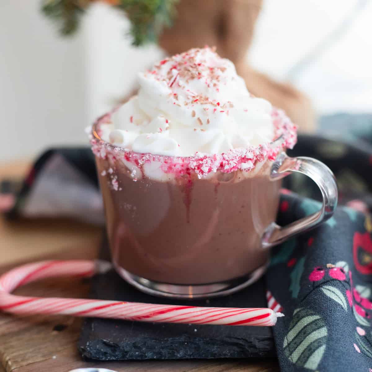 Hot chocolate in a mug topped with whipped cream and crushed peppermint. 
